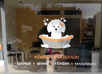 IMG_20171201_121405.jpg
