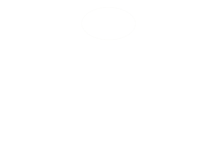 romanelli-logo-white.png