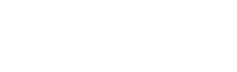 Diverib-Logo-White.png