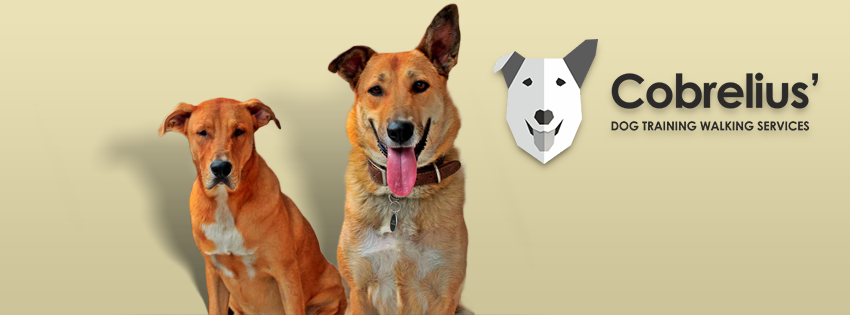 FB_cover3.png