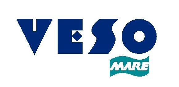 Veso-logo.jpg