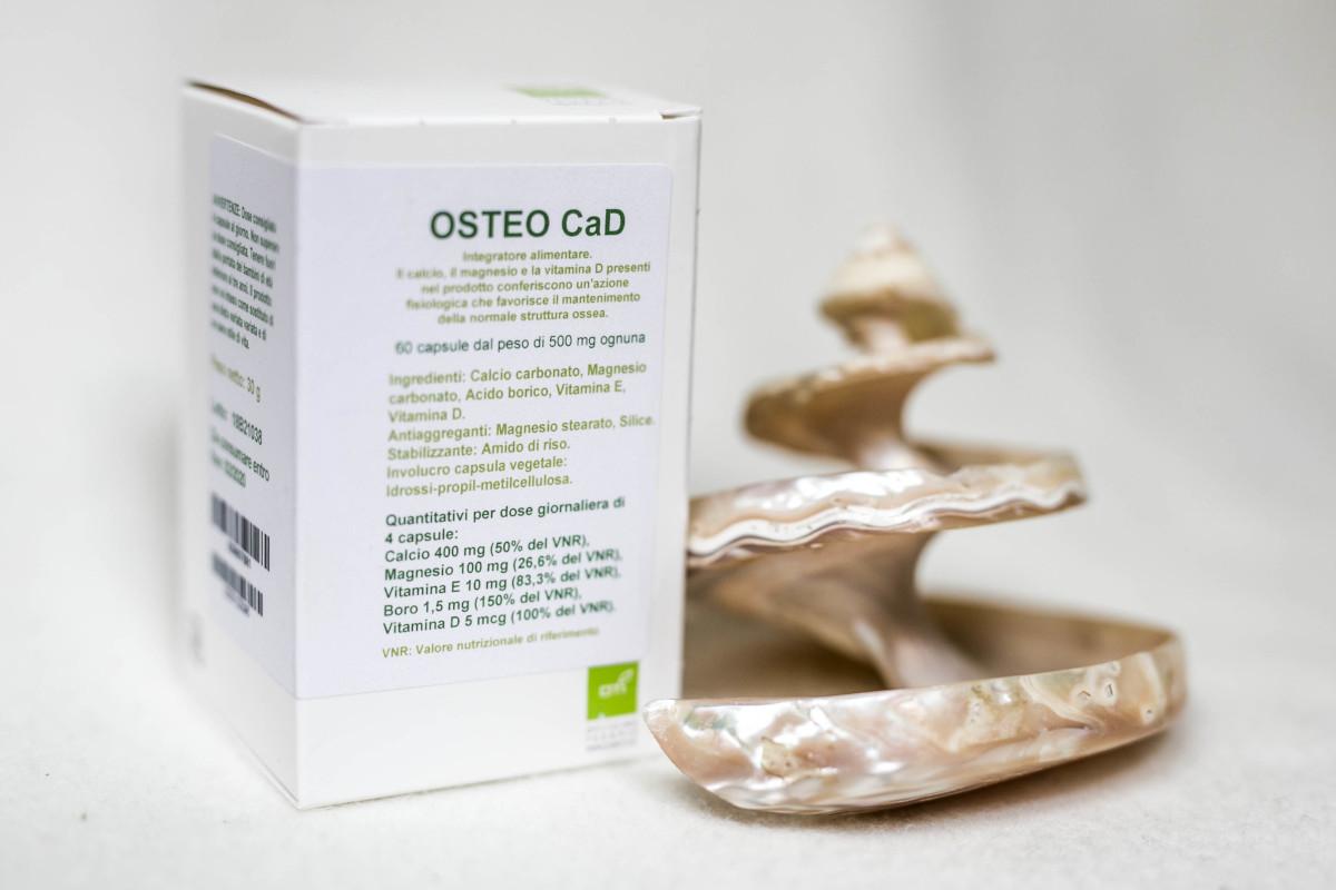 osteocad.jpg