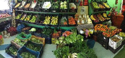 ΠΡΟΣΗΛΙΟ  ΟΠΩΡΟΠΩΛΕΙΟ