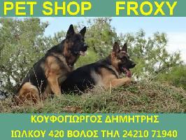 ΚΟΥΦΟΓΙΩΡΓΟΣ ΔΗΜΗΤΡΗΣ