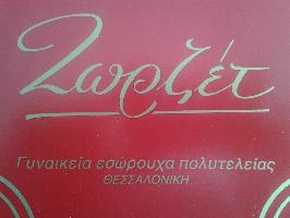  ΒΙΟΤΕΧΝΙΑ ΓΥΝΑΙΚΕΙΩΝ ΕΣΩΡΟΥΧΩΝ 