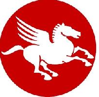 PIGASOS EXPRESS SECURITY - Συστήματα και Υπηρεσίες Ασφαλείας