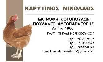 ΝΙΚΟΛΑΟΣ ΚΑΡΥΤΙΝΟΣ