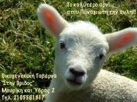 ΙΡΙΔΟΣ