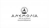  ΑΝΕΜΟΛΙΑ THE ART OF FLOWER-ΤΖΩΝΟΣ ΔΗΜΗΤΡΙΟΣ